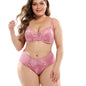 Lace Plus Size Bra Set